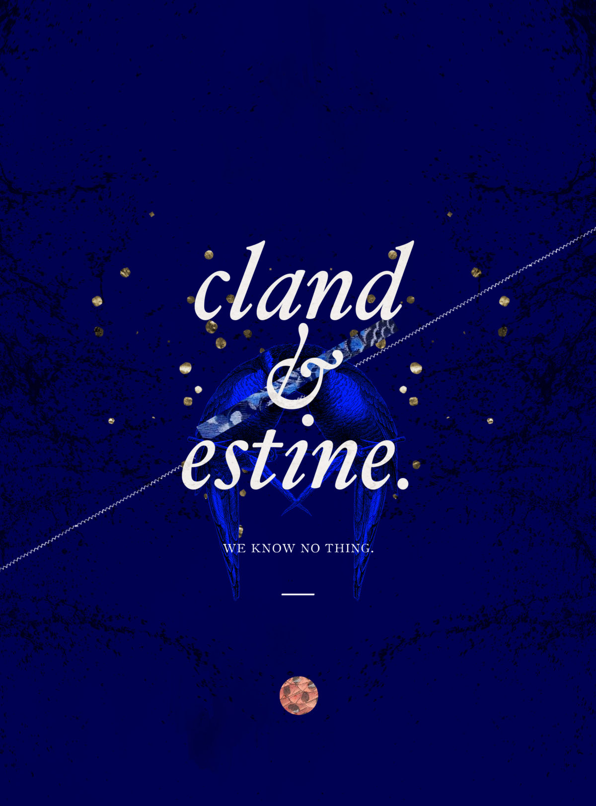 cland&estine_type_nita