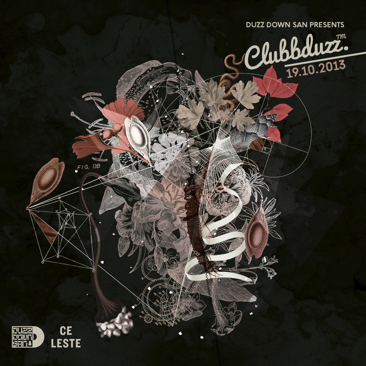 clubbduzz_05