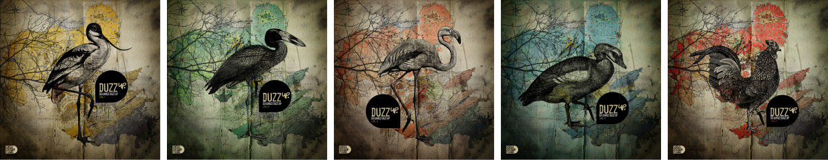 duzzup_01
