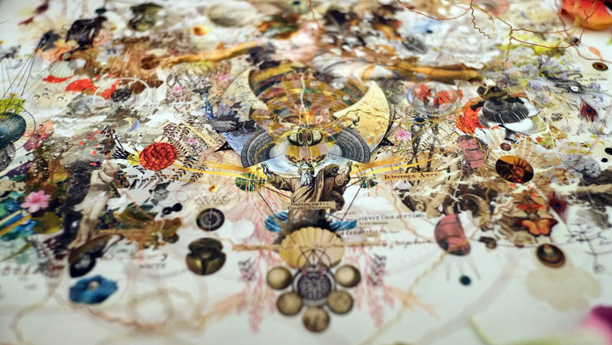 gg_schoepfung_closeup_nita_b