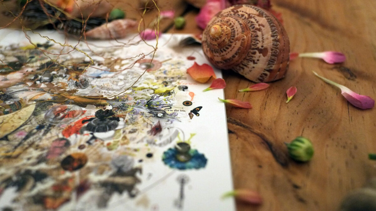 gg_schoepfung_closeup_nita_e