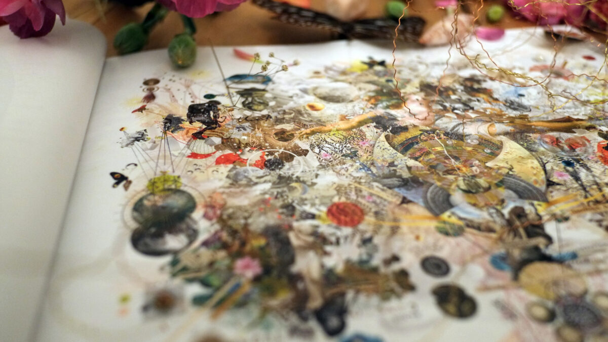 gg_schoepfung_closeup_nita_l