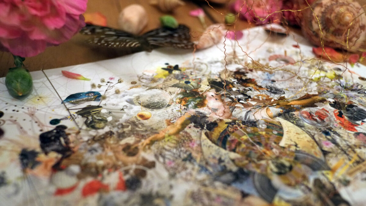 gg_schoepfung_closeup_nita_m