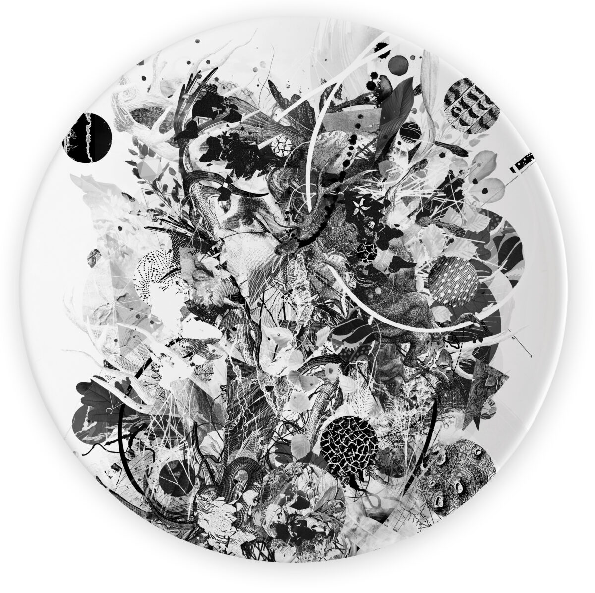 la_même_27,3_cm_b