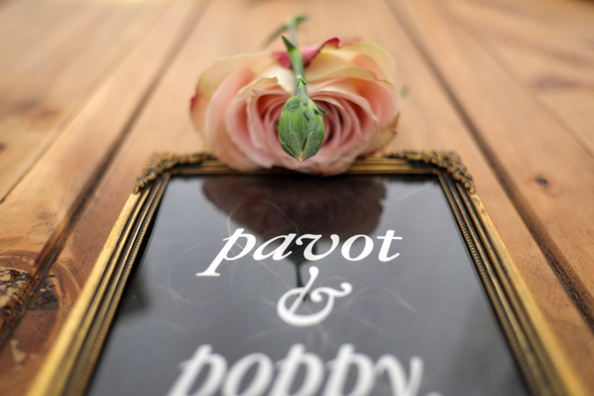 pavot_poppy_nita_fig_00_type_03