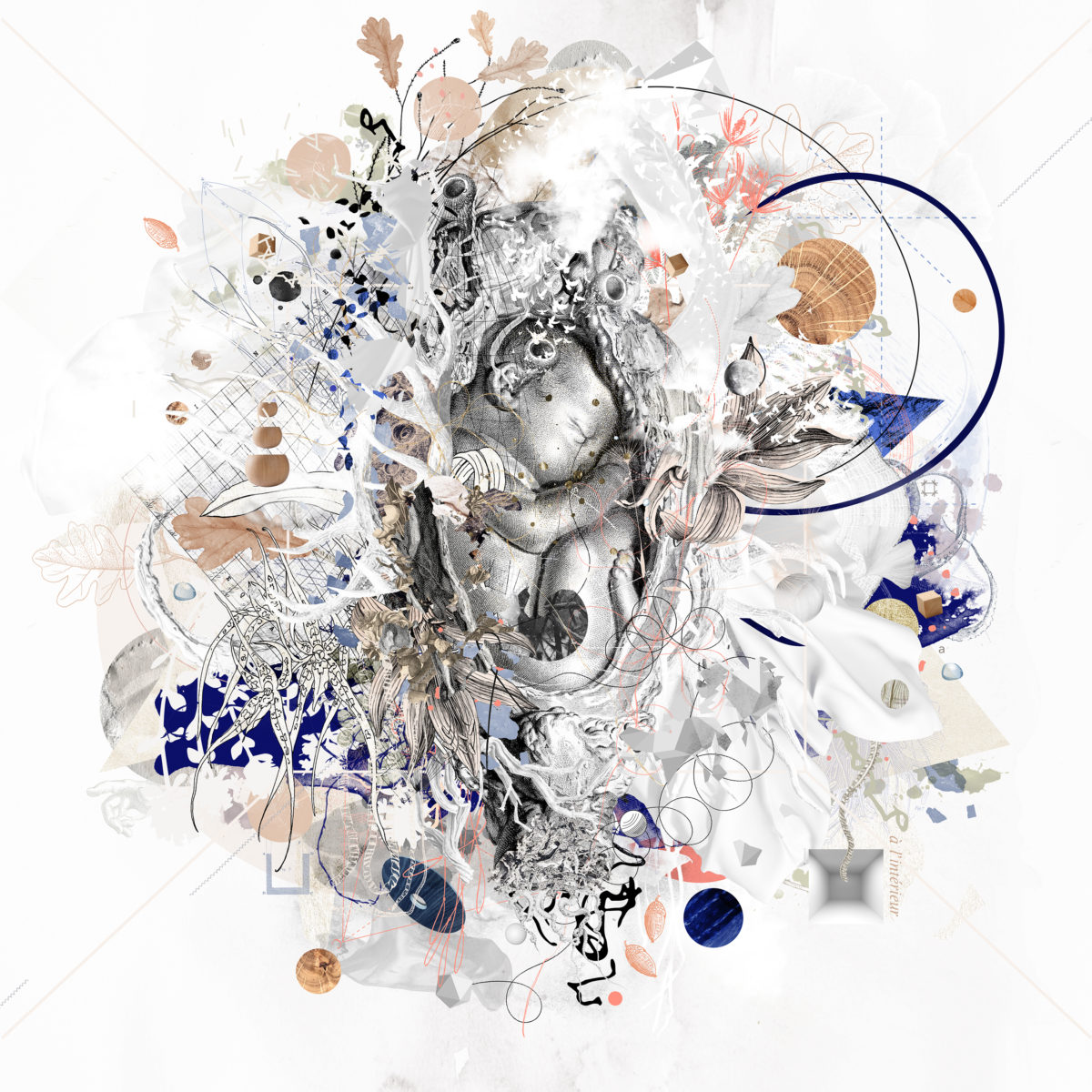 sandro_halter_papiertuchspender_neuinterpretation_nita_rgb_midres