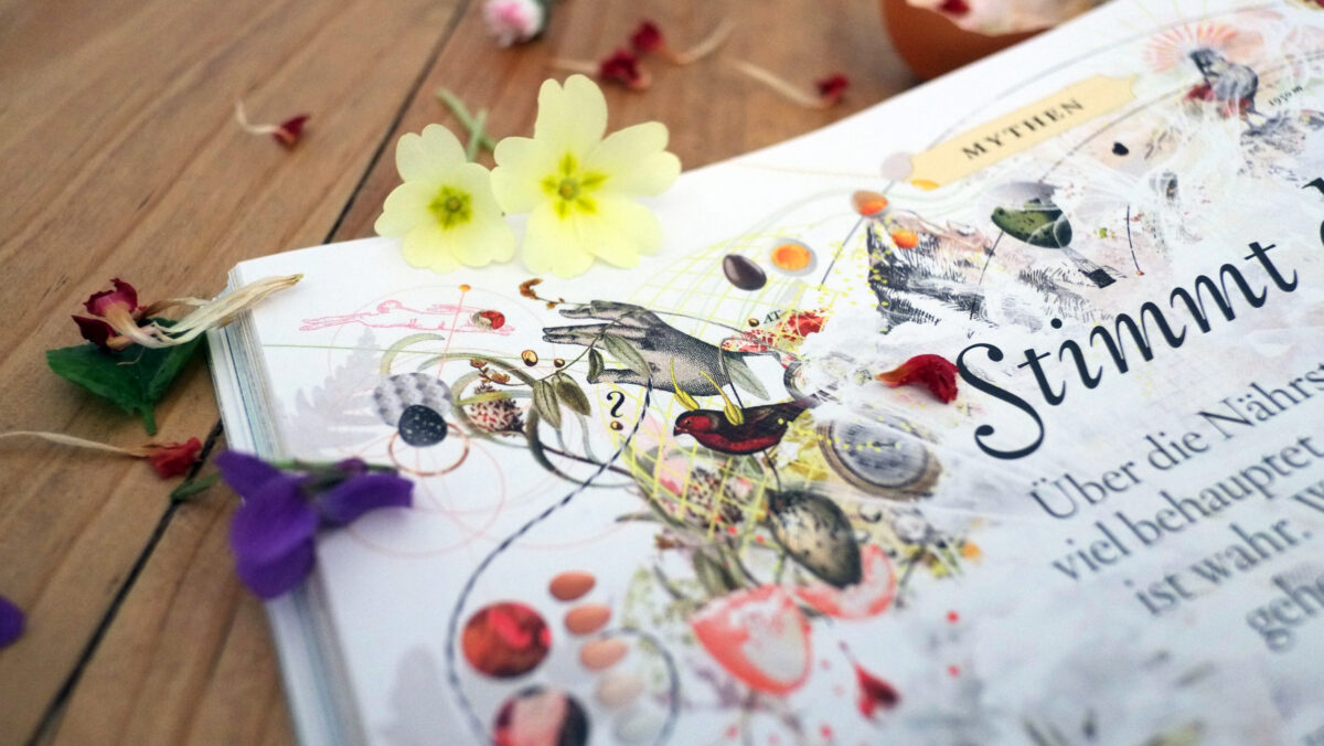 servus_magazin_kulturgeschichte_ei_nita_nahe_fs2_c