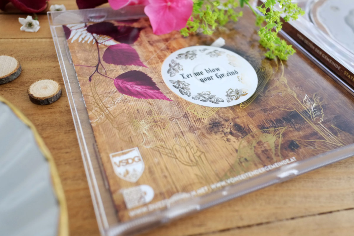 vsdg_cd_02